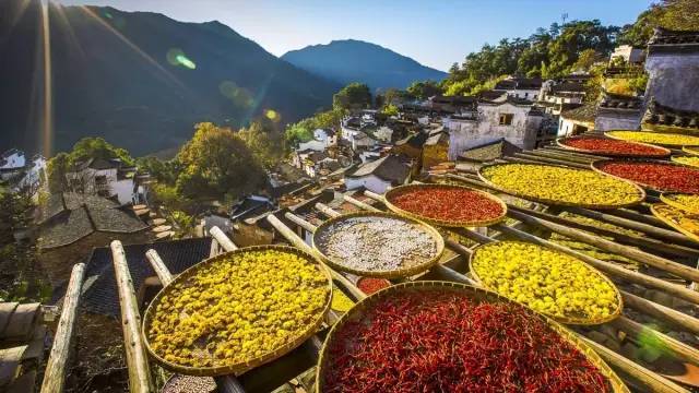 秋天应该去一次婺源 去领略一派水墨丹青的韵味