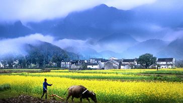 思溪延村 诗画田园